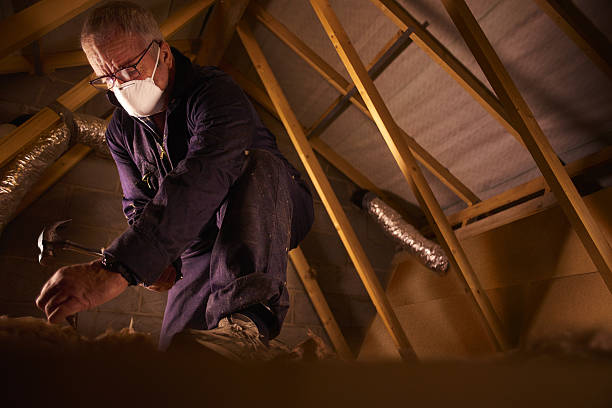 Best Insulation Replacement Services  in Hughestown, PA