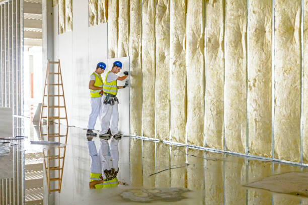 Best Soundproof Insulation Installation  in Hughestown, PA